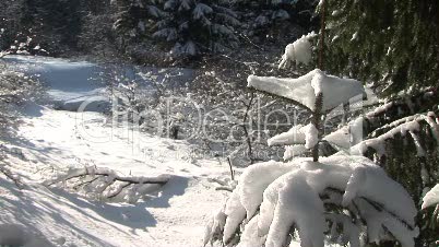 Winterlandschaft