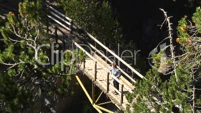 Brücke im Wald