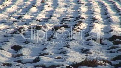Feld mit Schnee