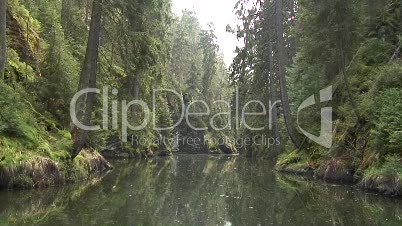 Stausee -Obere Schleuse - in der Sächsischen Schweiz