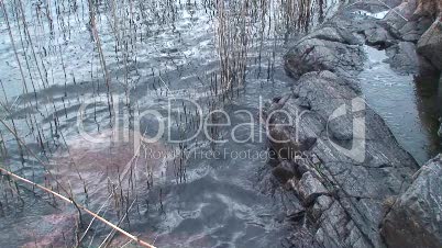 Felsen im Wasser