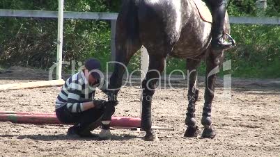 Pferdetraining