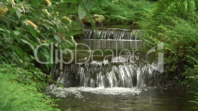Wasserfall mit exotischen Pflanzen