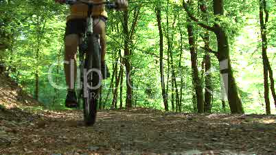 Mountainbiker im Wald