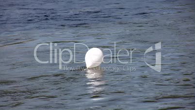 Weißer Ballon auf Fluß 1