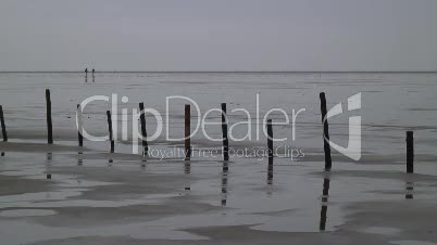 Holzpfähle im Watt