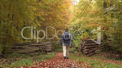 Spaziergänger im Laubwald 4