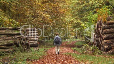 Spaziergängerin  im Laubwald 5