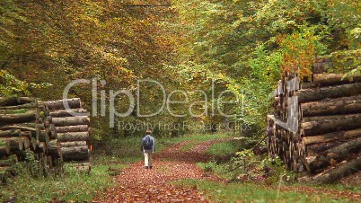 Spaziergängerin im Laubwald