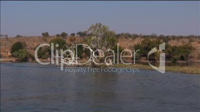 Fahrt auf dem Wasser vorbei an einem Baum in Afrika