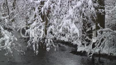 Bach im Wald zur Winterzeit 1