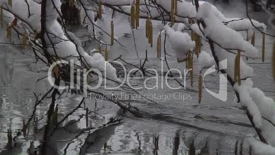 Bach im Wald zur Winterzeit 10