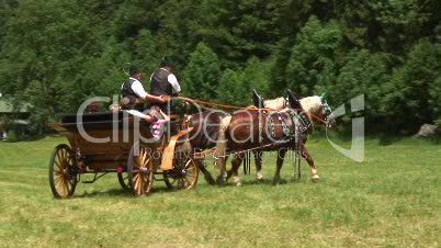 traditionelle Pferdekutsche