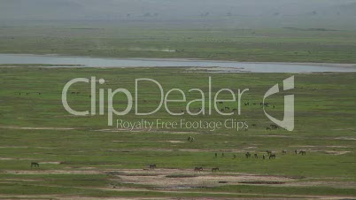 Grassavanne im Ngorongoro-Krater 10