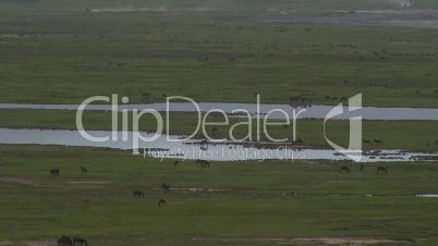 Grassavanne im Ngorongoro-Krater 11