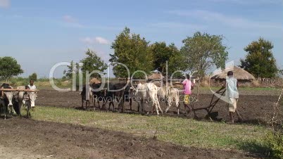 Landwirtschaft in Afrika 2