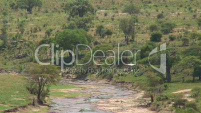 Tarangire River 3