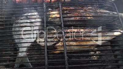 Fisch auf Grill 2