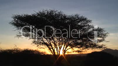 Sonnenaufgang in Tansania 2