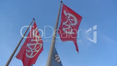 Mainzer Flaggen