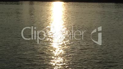 Sonne reflektiert auf dem Rhein