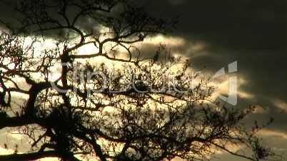 Sonnenuntergang in Afrika