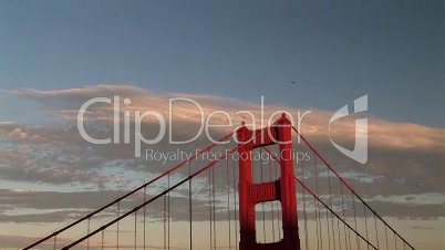 Seagulls flying over Golden Gate Bridge