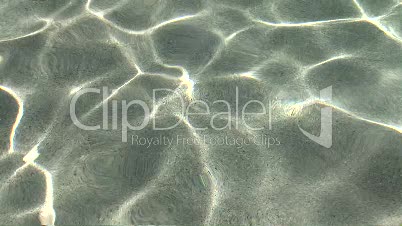 Water Shimmering in Swimming Pool