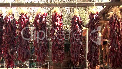 Bunches of Dried Chili Peppers