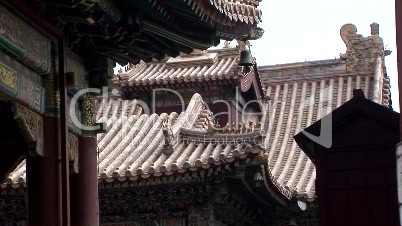 Chinese Dragon Roof