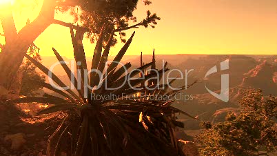 Grand Canyon Sunset