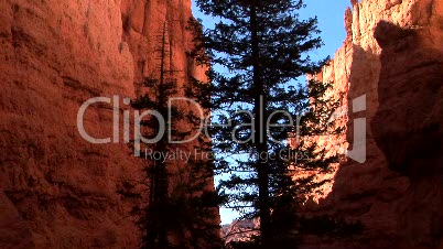 Wall Street in Bryce Canyon National Park
