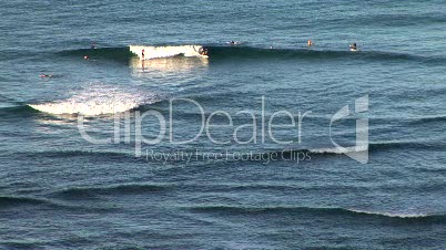 Hawaii surfers