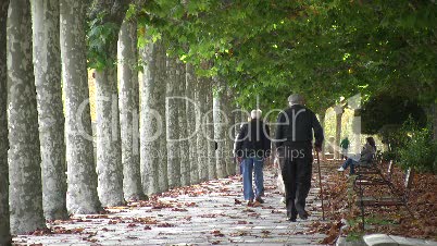 Platanen-Allee in Burgos 10