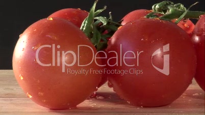 Stock Footage of Tomatoes