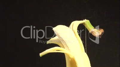 Stock Footage of a Banana