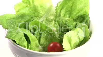 Stock Footage of Preparing a Healthy Salad