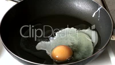 Cooking an Egg