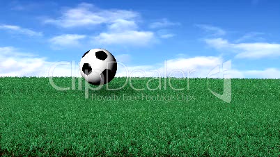 Soccerball on Grass