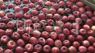 schwimmende Äpfel (1)