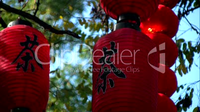 The chinese lamps