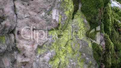 Pfahl-Quarz im Bayrischen Wald