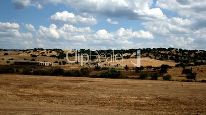 Field Of Dry Grass