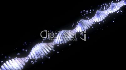 DNA Long HD1080