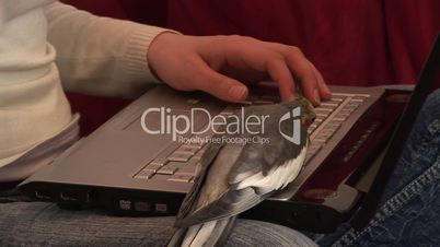 HD1080i Young woman with laptop and cockatiel