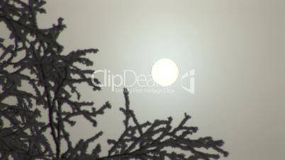 Zeitraffer Wintersonne mit Nebel