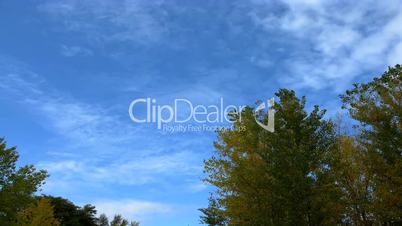 time lapse sky and autumn leaves.
