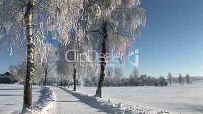 Winterlandschaft