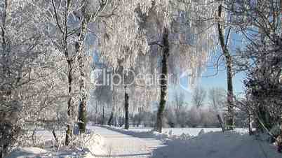 Winterlandschaft