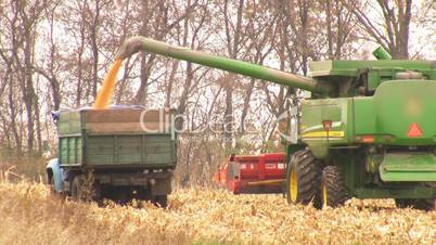 Loading the wheat in the truck